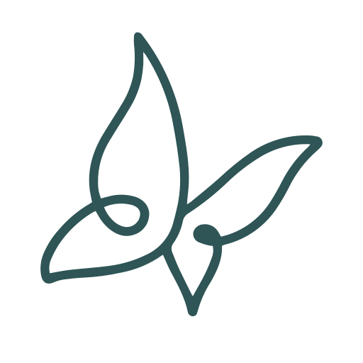 butterfly (1)